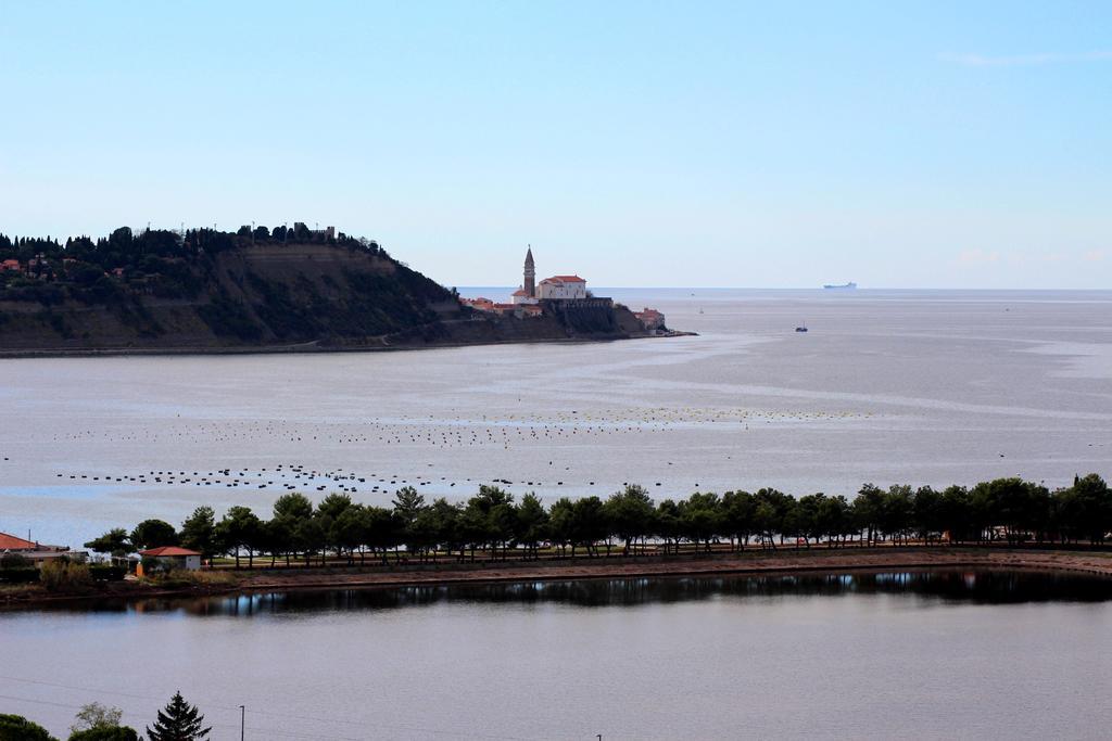 Terra Apartments Piran Dış mekan fotoğraf